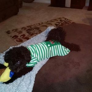 Meet your Posher, Shanda